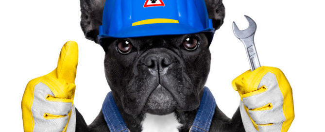 dog with wrench