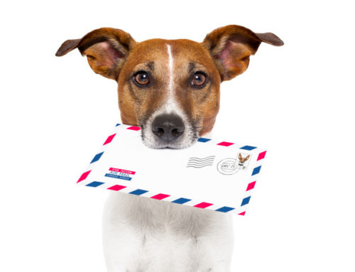 To Get the Most from Your Digital Marketing, Add Direct Mail!