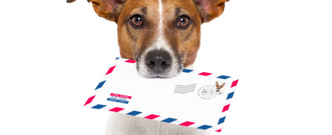 7 Steps to Direct Mail Success
