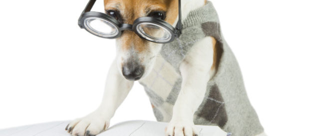 When to Bend Grammar Rules in Sales Copy