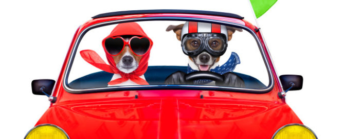 10 Point Roadmap to Maximize Web Results