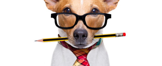 9 Ways to Improve Your Web Copy