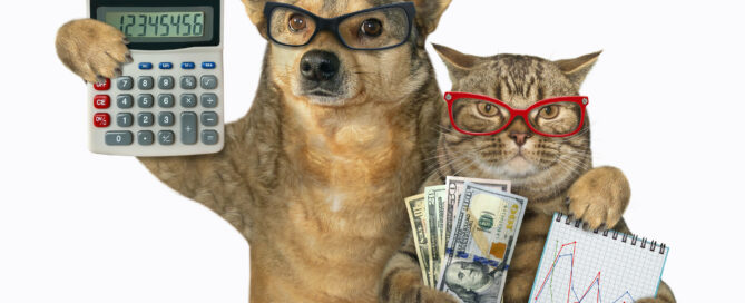 Dog and cat with calculator and money