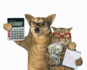 dog and cat with calculator and money