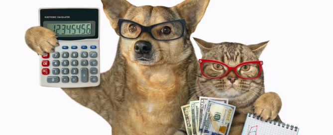 dog and cat with calculator and money
