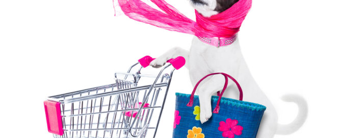 dog with empty shopping cart
