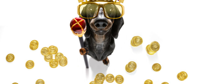 Dog with coins