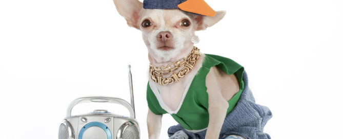 rapper dog with boom box