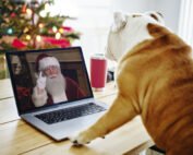 Dog looking at Santa on a PC