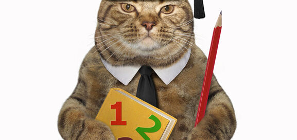 cat with pencil and book