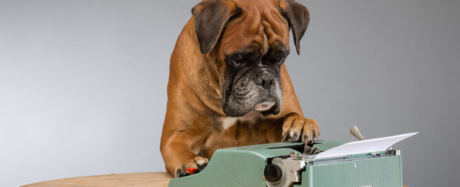 boxer dog with typewriter
